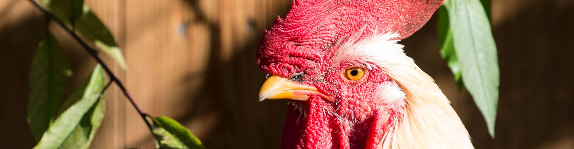 3 neue flexible Wohnungen mit